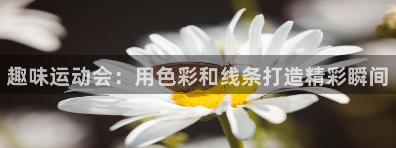 ug环球官网：趣味运动会：用色彩和线条打造精彩瞬间