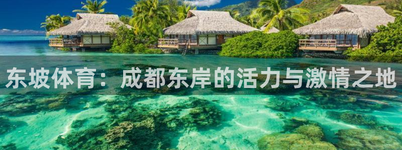 ug环球官网登录入口：东坡体育：成都东岸的活力与激情之地