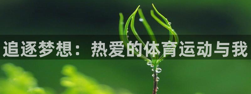 ug环球官网登录入口：追逐梦想：热爱的体育运动与我